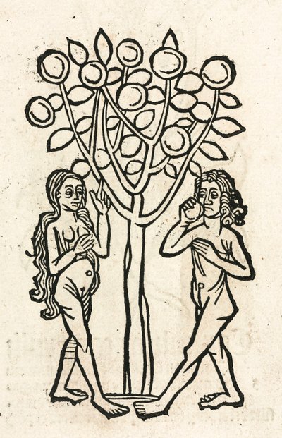 Adam and Eve under the Tree of Knowledge by Unbekannt