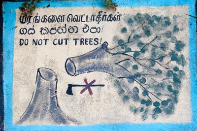 Environmental Protection; Painted Sign; 