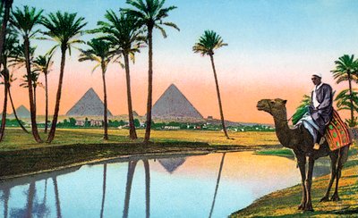 Man on a Camel Viewing the Pyramids of Gizeh by Unbekannter Künstler