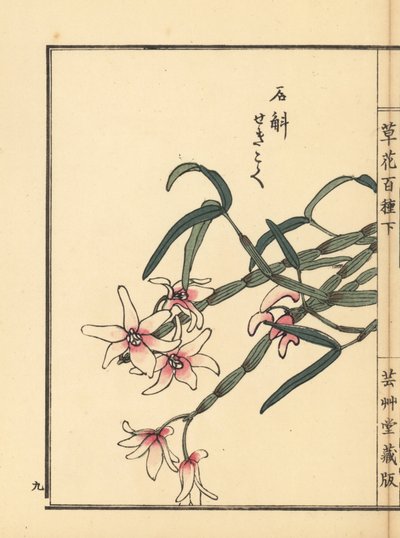 Sekkoku, Mohl