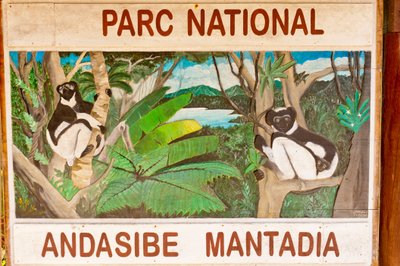 Sign depicting lemurs in the jungle; Andasibe-Mantadia National Park; Madagascar; Africa by Unbekannt