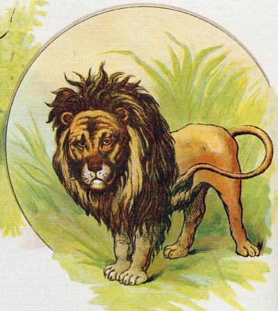 The lion. Engraving in "ABC L