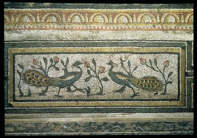 Two Peacocks, Decorative Border Detail from a Mosaic Pavement Depicting the Seasons and Hunting Scenes, from the Constantinian Villa at Daphne, Roman, c.325-330 AD by Unbekannt