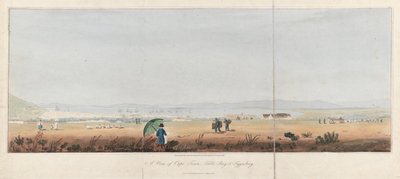 View of Cape Town, Table Bay and the Tygerberg Hills. Lithography by J.W. Burchell by Unbekannter Künstler