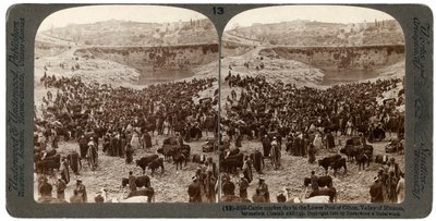 Cattle Market Day in the Lower Pool of Gihon, Valley of Hinnom, Jerusalem, Palestine by Underwood and Underwood