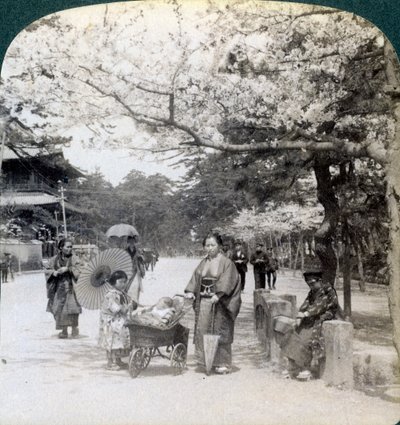 Under the cherry blossoms, looking northeast along the main avenue of Shiba Park, Tokyo, Japan by Underwood and Underwood