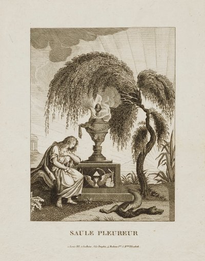 Weeping Willow by Unidentified