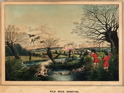 Wild Duck Shooting. On the Wing by Unidentified