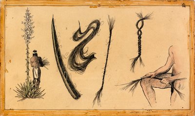 Yucca Rope Manufacture by Unidentified