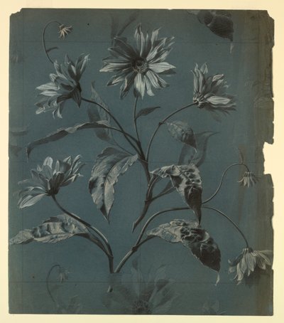 Design for Wallpaper or Textile of Daisy-Type Flower with Repeat by Unknown