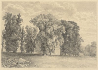 Meadow and Trees by Unknown