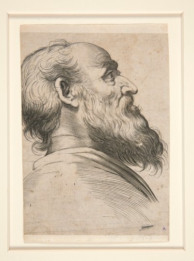 Untitled (Bearded Man, Looking Up to Left) by Unknown