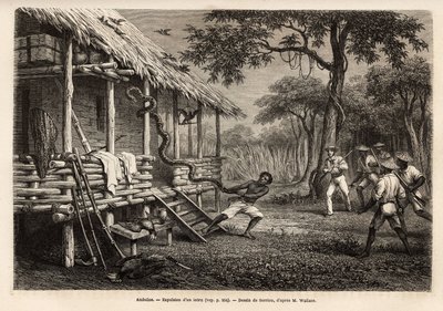 A python entered the space of the traveler and narrator, while all present people set themselves apart to protect themselves, the snake is expelled by one of the servants who, after failing with the lasso, grabbed him by the tail. Engraving to illustrate t by Unknown artist