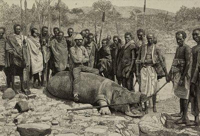 Catching of a hippo from the Jubba River, Africa, engraving from L