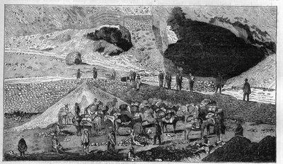Cerro de Pasco silver mine in Peru: transport of ore on the back of mules. Engraving in 