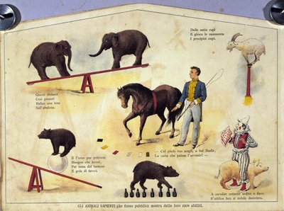Circus: Different Types of Shows Featuring Learned Animals by Unknown artist