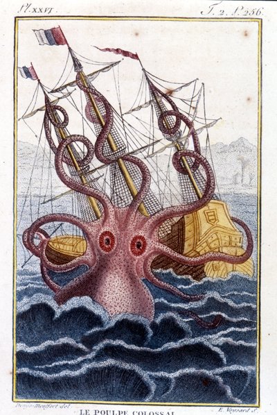Colossal Octopus Attacking a Ship - Engraving from the Book by Pierre Denys-Montfort 
