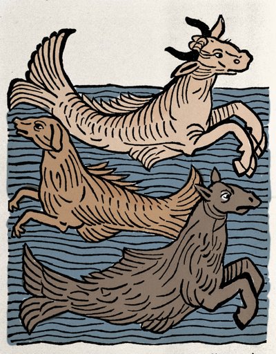 Fantastic Creatures: Representation of a Cow, Dog, and Seahorse. Engraving from 
