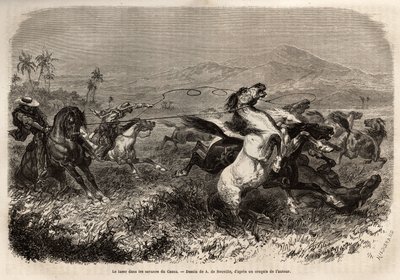 Herds of Mule and Horse Roaming in the Plains of Cauca by Unknown artist
