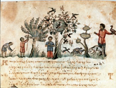 Hunting scene with hawks and collection of fruits by Unknown artist