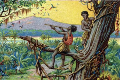 Hunting technique. Hunting hummingbirds in the Polynesian archipelago: the inhabitants use bites. Chromolithograph of the 19th century by Unknown artist
