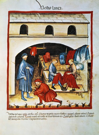 Manufacture and use of wool clothing by Unknown artist
