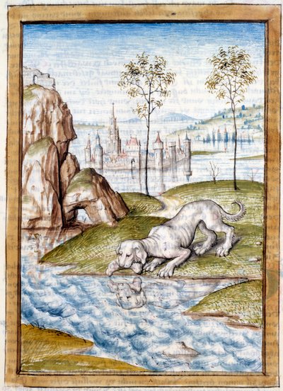 Miniature Animals from a German translation of the fables of 
