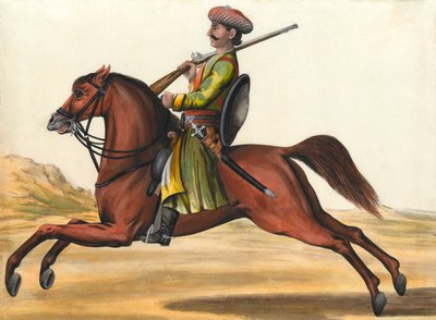 One of the Native Cavalry in the Nawaab