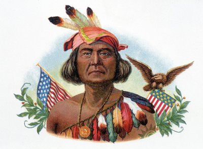Portrait of Geronimo, Apache Chief in Front of American Flags. Chromolithography of the 19th Century by Unknown artist