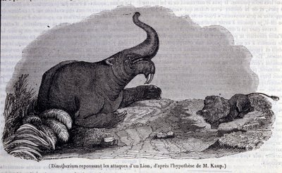 Prehistory: representation of a Dinotherium, type of pachyderm, repelling the attack of a lion by Unknown artist
