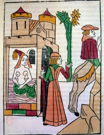 Raimondin spying on his wife Melusine in the bath by Unknown artist