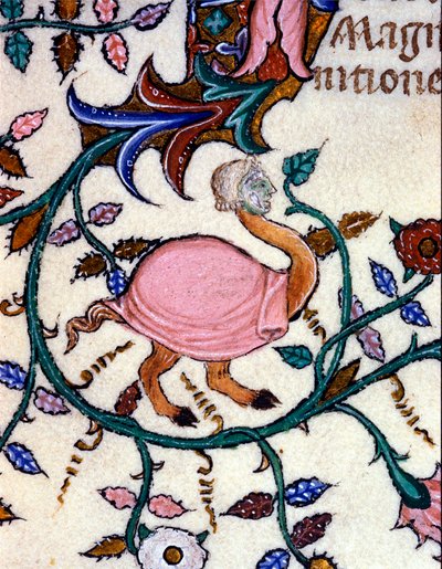 Representation of a monster with an ostrich body and a human head. Miniature of a 14th century manuscript. Milan, Biblioteca Nazionale Braidense. by Unknown artist