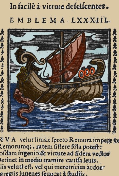 Representation of a Remora. Engraving from a 17th century Work by Unknown artist