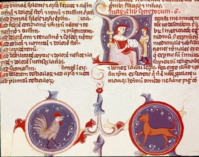 Representation of a Rooster and a Cat, on Top Two Characters, Probably the Translator Presenting His Work to the Doctor (Miniature) by Unknown artist