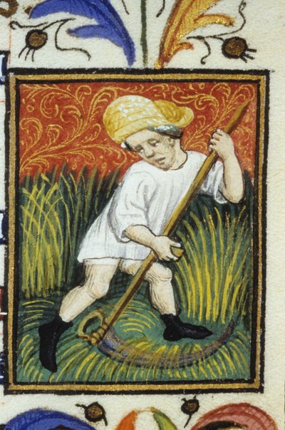 Representation of the Month of June. A Peasant Mowing Green Wheat. Miniature of a 14th Century Manuscript by Unknown artist
