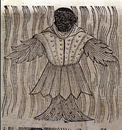 Representation of the sea monk, imaginary fish and marine monster. Engraving from 