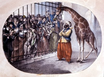 The curious crowd rushed to see a giraffe behind a gate. Lithograph by Danhaaren. 1829 by Unknown artist
