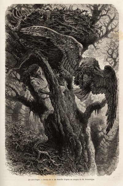 The eagle protecting his nest from the intruder. Engraving to illustrate the story Four months in Florida, by M. Pousselgue, in 1851-1852, published in le tour du monde, under the direction of Edouard Charton, Hachette, Paris 1869. Selva Collection by Unknown artist