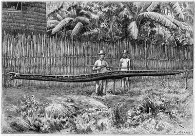 The skin of a Python snake, 6.60m long, captured in the Philippine Islands. (From a photograph). Engraving in 