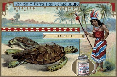 Turtle, with a Woman Dressed Like a Native of South America, Equipped with a Hunting Spear - Liebig Chromolithography by Unknown artist