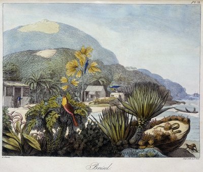 View of Brazil - in Views and Landscapes of the Equinoxial Regions, Collected in a Journey Around the World, 19th Century by Unknown artist