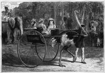 Walk on the back of an elephant and children in a cariola dragged by Austrias. Garden of Acclimation of the Bois de Boulogne in Paris by Unknown artist