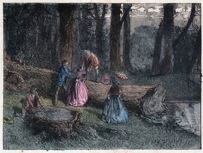 Walkers try to calculate the age of a dead oak by studying the tree