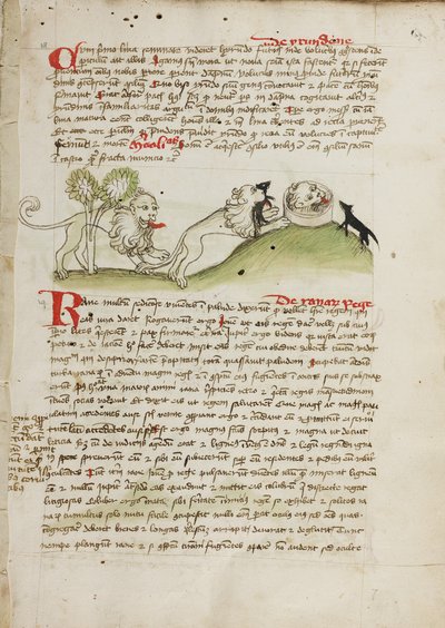 A Lion and Another Lion with a Mouse by Unknown artist