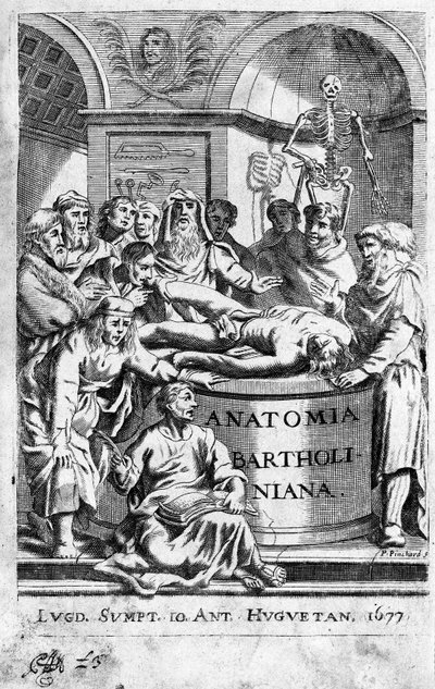 An anatomy lesson. Frontispiece taken from 