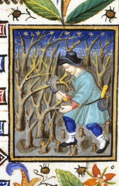 Allegorical representation of March. A man cutting shrubs. Miniature of a 14th century manuscript by Unknown artist