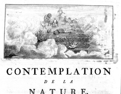 Allegorical representation of the evolution of Man from minerals, passing through plant and animal species. Charles Bonnet, Contemplation of Nature, Neuchatel by Unknown artist