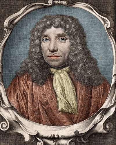 Anthony Van Leeuwenhoek, Dutch Naturalist (1632-1723). 18th Century Engraving by Unknown artist