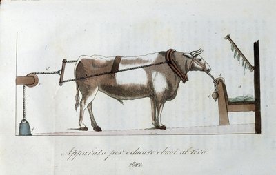 Apparatus for accustoming oxen to the line by Unknown artist