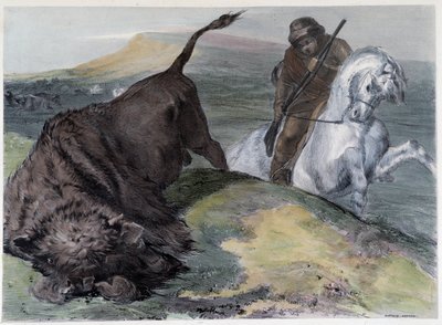 Canadian Huron Buffalo Hunt - in Shyth
